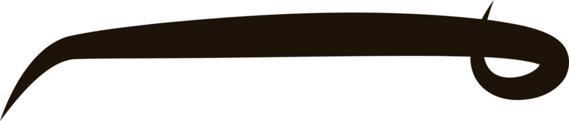 Fototapeta premium Swoosh Text Tail Swirl Line Art