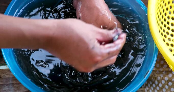 Squid cleaning and preparation by hand with ink release washing in blue basin and draining in yellow colander showing traditional Asian seafood process