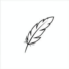 Obraz premium Elegant Hand Drawn Feather Illustration for Creative Design Projects