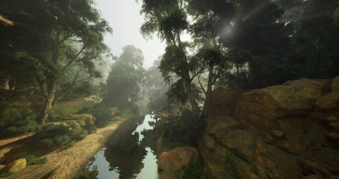 Quiet woodland with towering trees and shimmering water reflection, Peaceful escape into untouched wilderness surrounded by towering trees and sparkling water