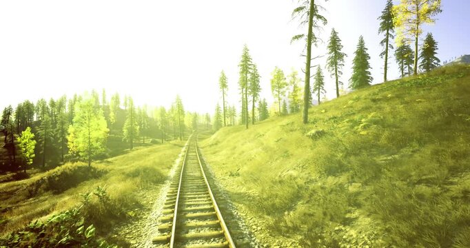 golden track winding up hillside framed by tall pine and dense forest, sun glare creating dramatic contrast, rugged slope and textured sleepers, sense
