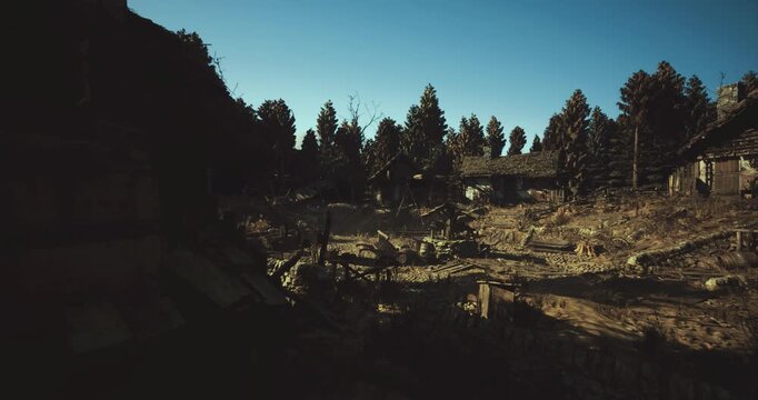 shadowed valley with dense pine ridge, cool shaded hollows and towering trunks, layered midground and distant ridgeline, contrast between light and dark
