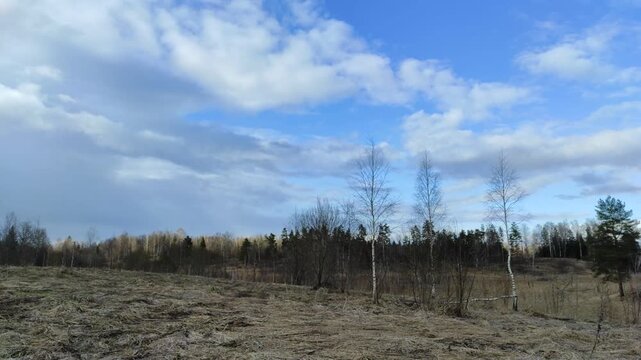 Clouds float across the blue sky above the forest №2