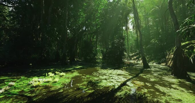 Twilight swamp with heavy shadowed pools and low light, mist rising from warm water and dense understory, evocative nocturnal scene suited for night photography
