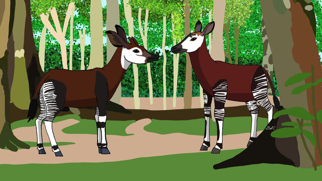 Okapis of the Democratic Republic of the Congo