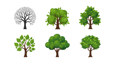 Fototapeta premium Tree Icon Set with Different Styles and Seasonal Variations Including Bare, Leafy and Full Green Trees in Flat Design for Nature and Landscape Projects