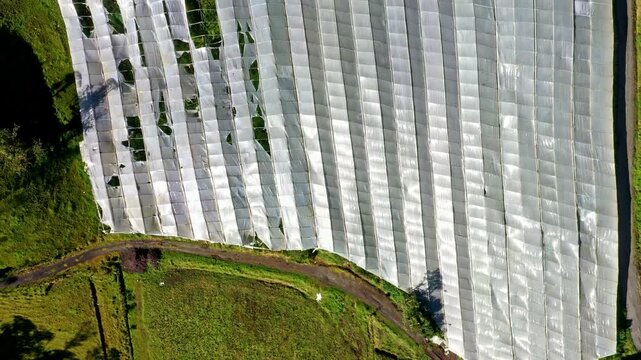 Aerial top view of a greenhouse made of  Plastic Polyethylene Covering which is full of holes at one side