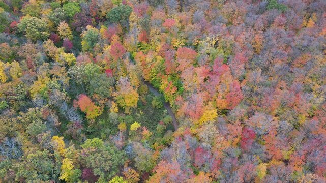 Aerial 4K drone footage of vibrant Canadian fall colors, showcasing forests, lakes, and winding landscapes painted in red, orange, and yellow autumn foliage