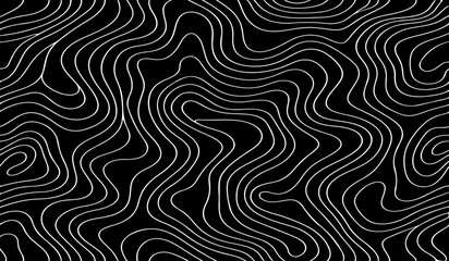 Fototapeta premium topographic contour map, abstract terrain lines, monochrome vector design, Ideal for backgrounds, posters, wallpapers.