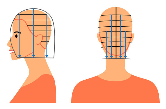 Flat color bob haircut diagram with clear sectioning, cutting lines and shape construction, front and back views, modern minimal vector illustration for beauty education, tutorials and salon guides