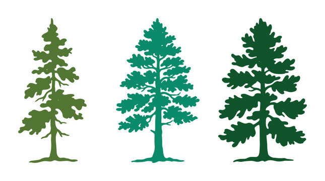 Green pine tree silhouettes, evergreen forest trees illustrations
