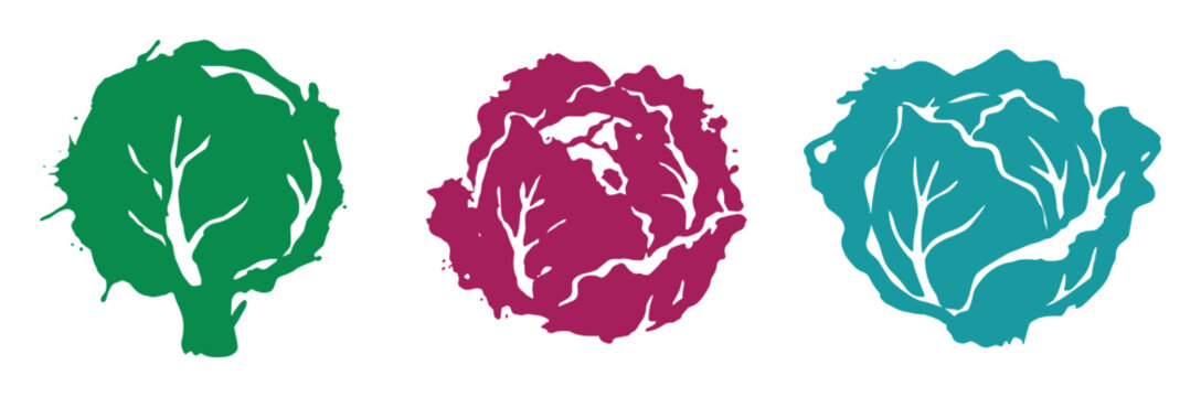Green purple blue cabbage silhouettes isolated vector illustration