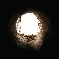 Inside an underground dirt cave with rough walls, stones, and vines. Mysterious subterranean tunnel opening into light. Empty hole into the earth. Old burrow, sewer, or dugout passage. © Leigh Prather
