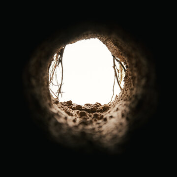 Inside an underground dirt cave with rough walls, stones, and vines. Mysterious subterranean tunnel opening into light. Empty hole into the earth. Old burrow, sewer, or dugout passage.