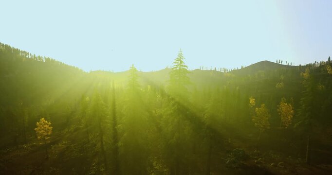 Soft nostalgic valley bathed in golden sunrise, pale haze and warm light soften meadow and hills while film photographer imagines capturing timeless memory