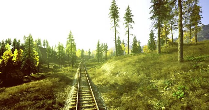 Morning track through sunlit pines with soft dew on ballast, peaceful countryside route suggests early commuter or ranger patrol, fresh air and clear sky