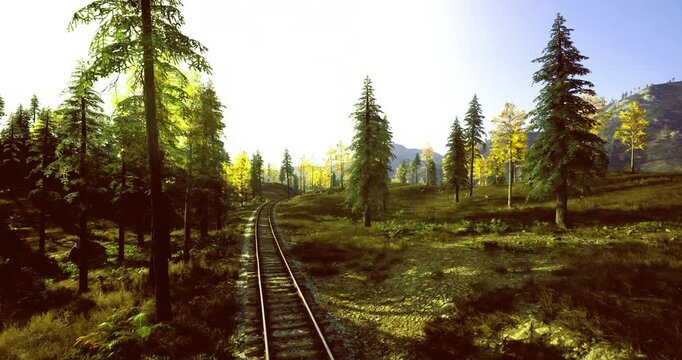 Sunlit rail cutting through grassy clearing, rustic freight spur vibe with weathered sleepers and scattered ballast, midday haze and warm tones suggest