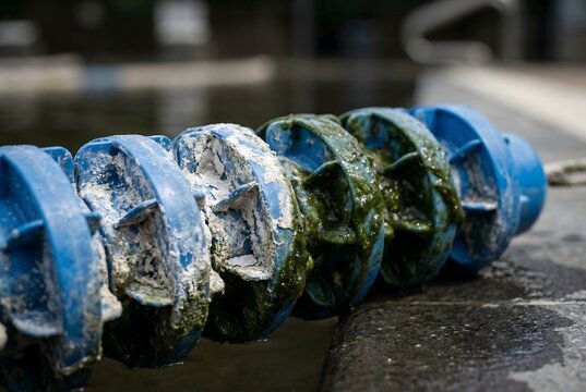 Close-up of a plastic pool lane float encrusted with scale and green algae