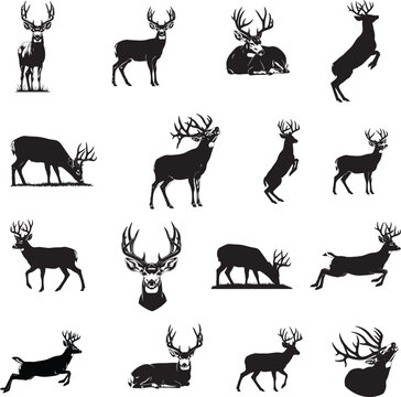 A set of 15 mule deer silhouette illustrations of  various poses, showcasing different antler styles and movements on a pure white background
