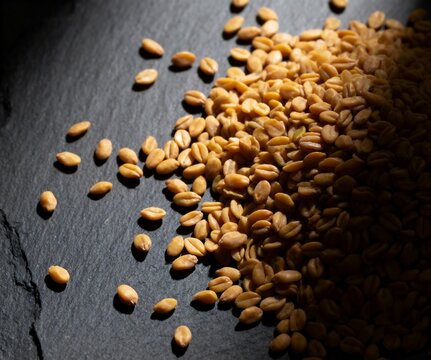 Close-up of Fenugreek Seeds scattered on dark slate surface, dramatic lighting