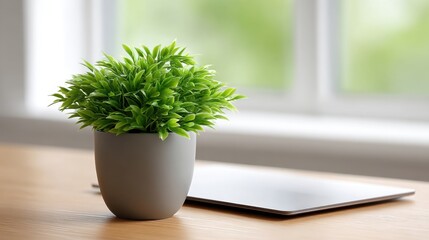 Fototapeta premium Lush artificial plant in a modern pot on a wooden desk near a laptop, bringing a touch of greenery to a stylish workspace or home office environment