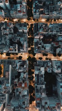 Rio de Janeiro wild with jungle mountains and city line in Rio de Janeiro, Brazil