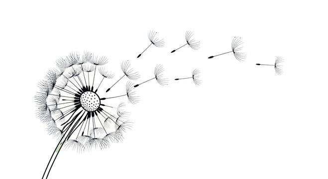 Dandelion seeds blowing in the wind, delicate nature illustration