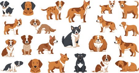 Fototapeta premium Dog breeds collection with cute and realistic canine characters, diverse puppy and adult dogs vector illustration set for pets, animals, veterinary and design use