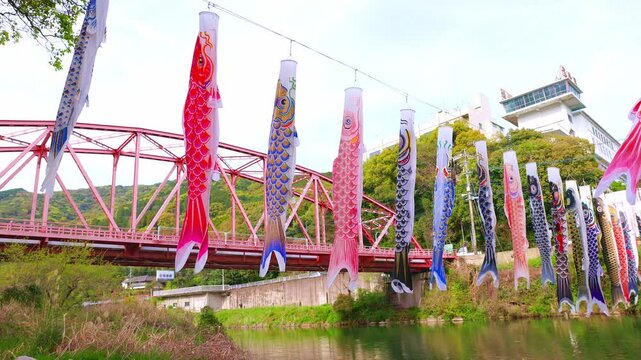 川の上に飾られた無数の鯉のぼりと春の青空（端午の節句）