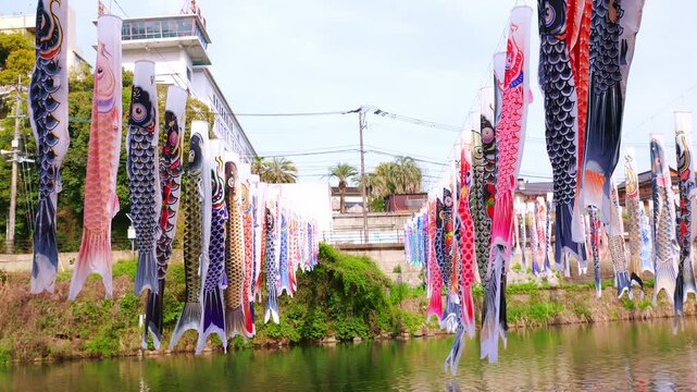 川の上に飾られた無数の鯉のぼりと春の青空（端午の節句）