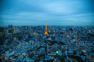 Naklejka premium Skyline view in Tokyo, Japan