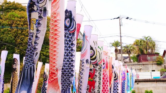 川の上に飾られた無数の鯉のぼりと春の青空（端午の節句）
