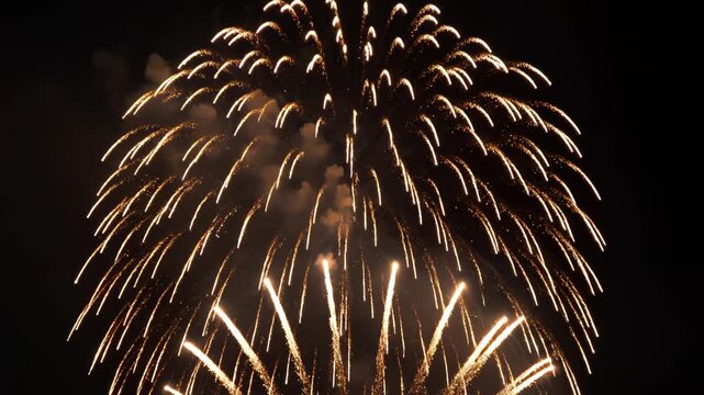 Fireworks display in night sky for commercial backgrounds, digital design, and advertising