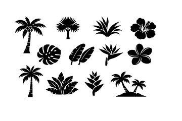 Obraz premium Collection of black tropical plant silhouettes featuring various palm trees, monstera leaves, banana leaves, hibiscus, plumeria, bird of paradise, and exotic jungle foliage icons on white background.