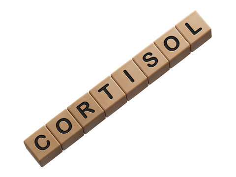 Cortisol word written on wood block. Cortisol text on cement table for your desing, Top view concept.Supports PNG files with transparent backgrounds.