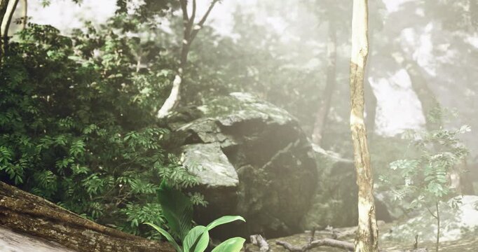 An old broken tree trunk rests on lush moss surface demonstrating decay, Weathered fallen log lies across damp mossy boulder illustrating natural decay process