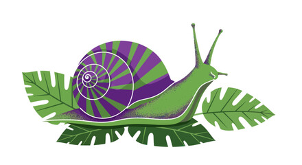 Colorful garden snail illustration with purple striped shell on monstera leaves © Naswi