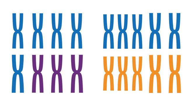 Abstract chromosomes illustration in blue, purple and orange colors