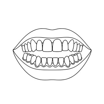 A set of human teeth with lips Vector, illustration