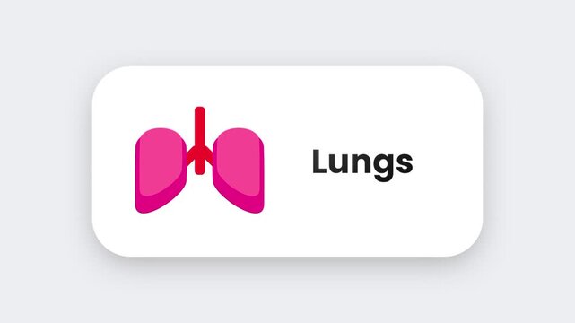 A bright pink anatomical lungs icon showing the two lobes of the respiratory organ used in medical or health education app badges