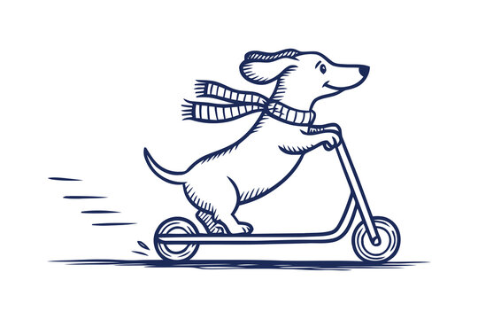 Cute happy dog wearing a scarf riding a kick scooter illustration
