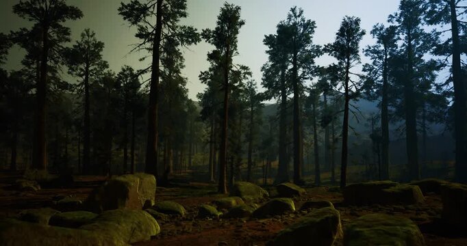 Rocky pine landscape for conservation visuals, textured stones and moss patches among resilient pines, soft mist adds cinematic tone for environmental campaigns