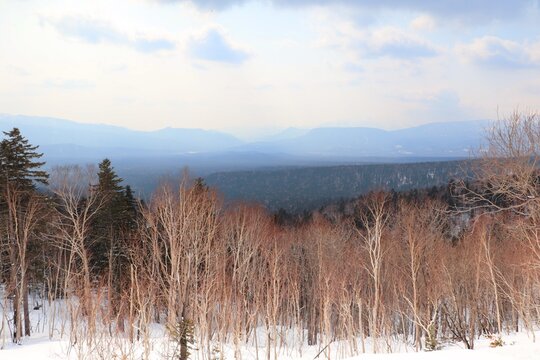 北海道・三国峠の雪景色と山々のパノラマ（大雪山国立公園）
