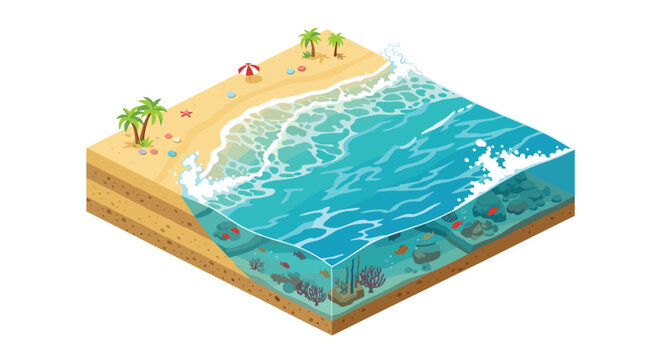 Detailed isometric cross-section of a tropical beach revealing the sandy shore, palm trees, and a vibrant underwater world with coral and fish.