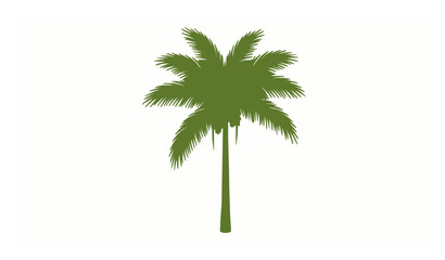 Fototapeta premium Betel nut palm tree areca tropical plant vector illustration