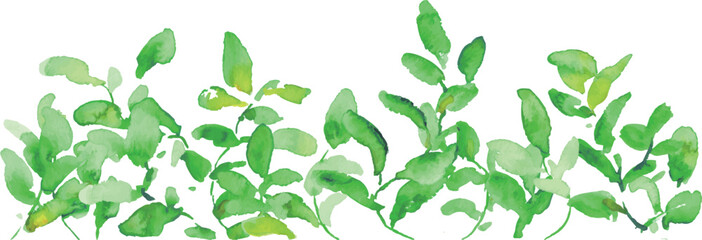 水彩画。水彩タッチの新緑の葉っぱイラスト。緑の葉っぱベクターフレーム。 Watercolor painting. Watercolor-style illustration of fresh green leaves. Green leaf vector frame. © necomammma