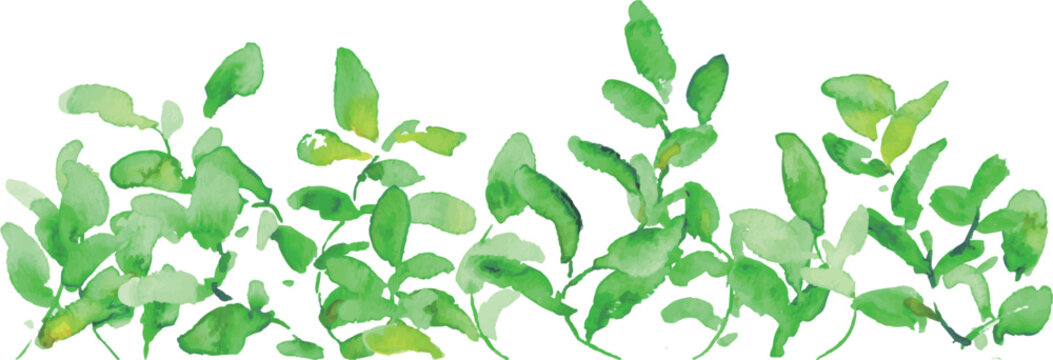 水彩画。水彩タッチの新緑の葉っぱイラスト。緑の葉っぱベクターフレーム。
Watercolor painting. Watercolor-style illustration of fresh green leaves. Green leaf vector frame.