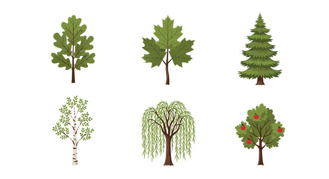 Diverse collection of six distinct tree species including oak and apple illustrated in a flat clean style against a plain white studio background.