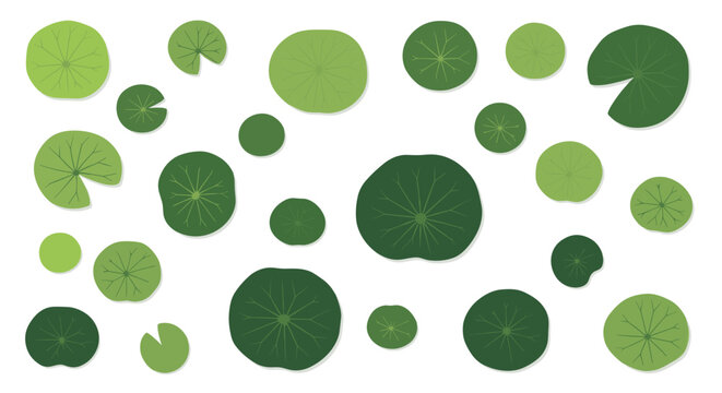 A diverse collection of circular green lily pads in varying sizes and vibrant shades of emerald and lime green floating across a pristine white background.