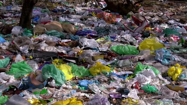 Trash pollution crisis harming earth through water pollution air pollution plastic polythene diapers waste destroying environment threatening health ecosystems future generations worldwide